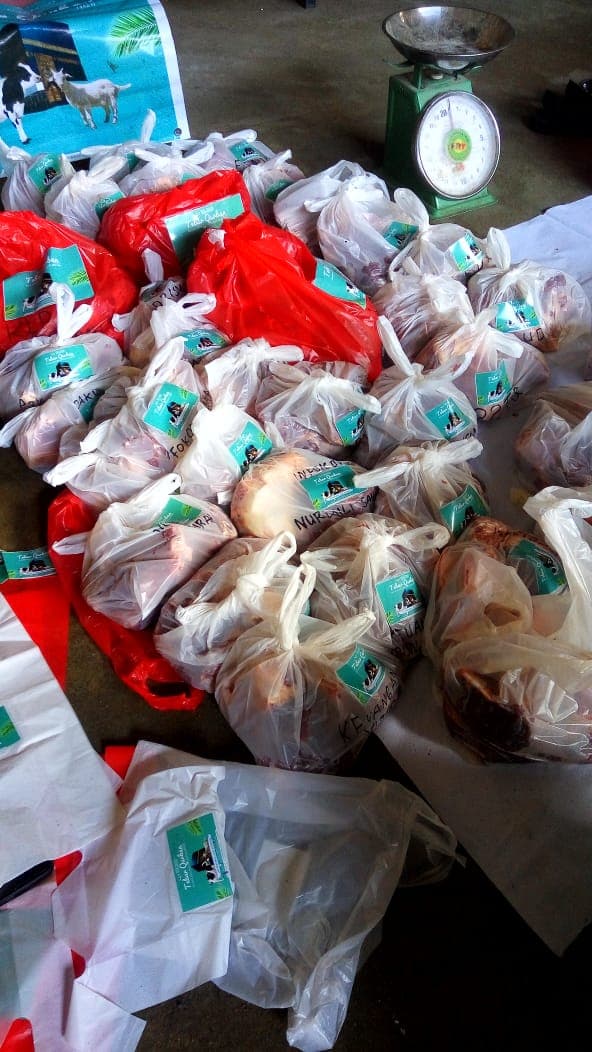 Muslimah Wahdah Makassar Tebar 42 Ekor Hewan Qurban