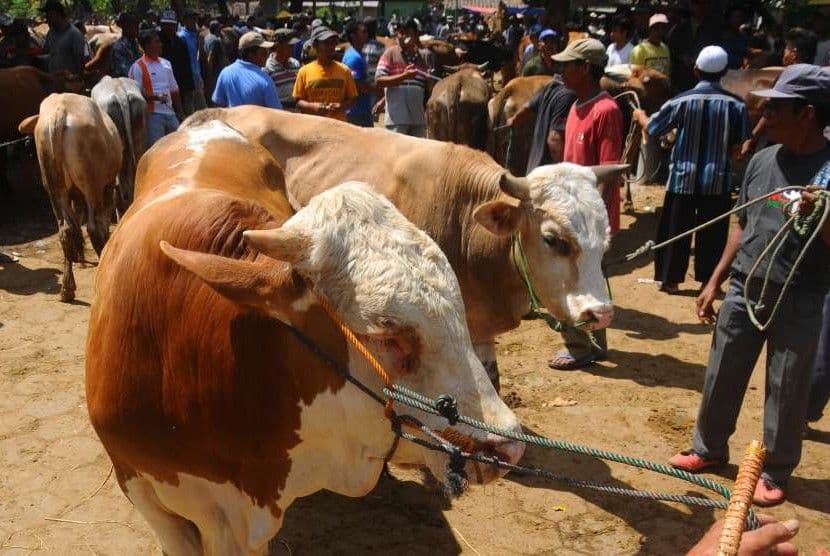 NASIHAT SEUSAI IBADAH QURBAN