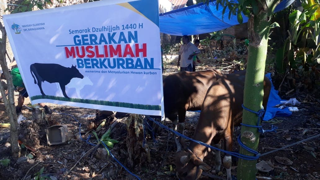 Wujud Berbagi, Muslimah Wahdah Kembali Adakan Gerakan Muslimah Berqurban